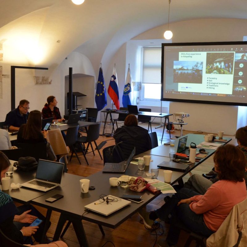 Commheritour project